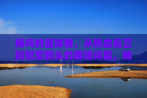 杨鸣的篮球赛，从热血后卫到冠军教头的赛场诗篇，杨鸣，从热血后卫到冠军教头的赛场诗篇