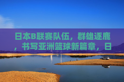 日本B联赛队伍，群雄逐鹿，书写亚洲篮球新篇章，日本B联赛群雄逐鹿，书写亚洲篮球新篇章