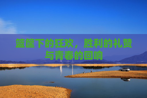 篮筐下的狂欢,胜利的礼赞与青春的回响