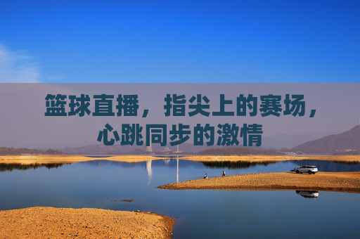 篮球直播,指尖上的赛场,心跳同步的激情