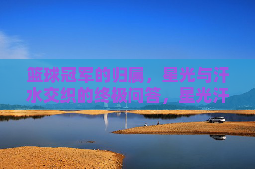 篮球冠军的归属,星光与汗水交织的终极问答,星光汗水交织,篮球冠军归属的终极答案