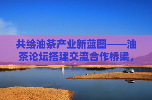 共绘油茶产业新蓝图——油茶论坛搭建交流合作桥梁,共绘油茶产业新蓝图 论坛搭建合作桥梁