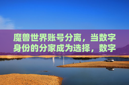 魔兽世界账号分离,当数字身份的分家成为选择,数字身份的分家,魔兽世界账号分离的选择