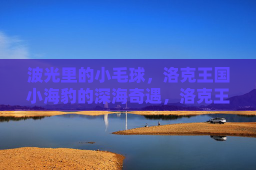 波光里的小毛球,洛克王国小海豹的深海奇遇,洛克王国小海豹,波光小毛球的深海奇遇