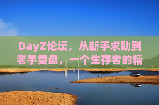 DayZ论坛，从新手求助到老手复盘，一个生存者的精神家园，DayZ生存者的精神家园，从新手求助到老手复盘