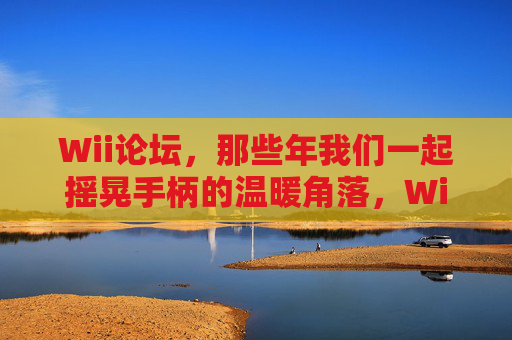 Wii论坛,那些年我们一起摇晃手柄的温暖角落,Wii论坛,那些年摇晃手柄的温暖角落