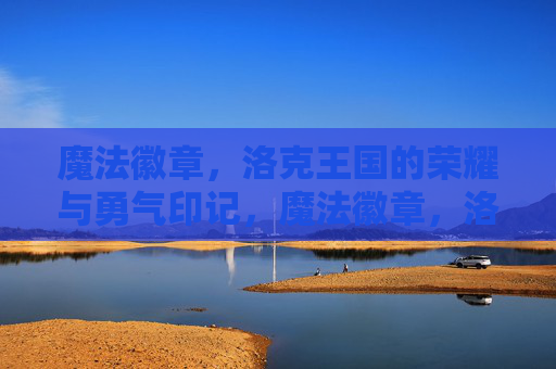 魔法徽章，洛克王国的荣耀与勇气印记，魔法徽章，洛克王国的荣耀与勇气印记