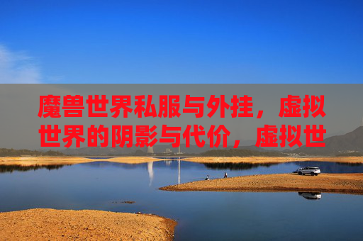 魔兽世界私服与外挂,虚拟世界的阴影与代价,虚拟世界的阴影,魔兽私服与外挂的代价