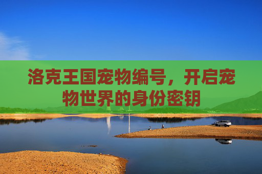 洛克王国宠物编号,开启宠物世界的身份密钥