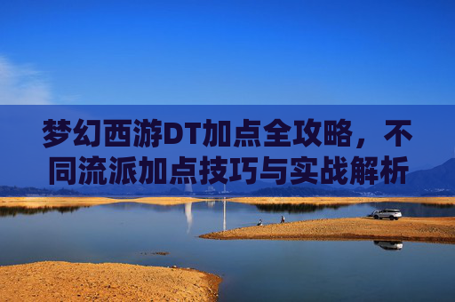 梦幻西游DT加点全攻略，不同流派加点技巧与实战解析，梦幻西游DT加点全攻略，不同流派技巧与实战解析