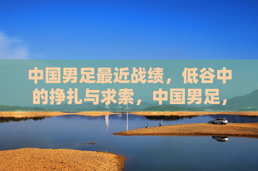 中国男足最近战绩，低谷中的挣扎与求索，中国男足，低谷中的挣扎与求索