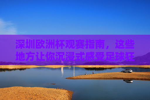 深圳欧洲杯观赛指南，这些地方让你沉浸式感受足球狂欢！深圳欧洲杯沉浸式观赛指南，畅享足球狂欢