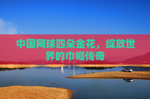 中国网球四朵金花,绽放世界的巾帼传奇