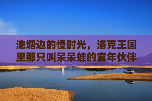 池塘边的慢时光,洛克王国里那只叫呆呆蛙的童年伙伴,池塘边的慢时光,洛克王国的童年伙伴呆呆蛙