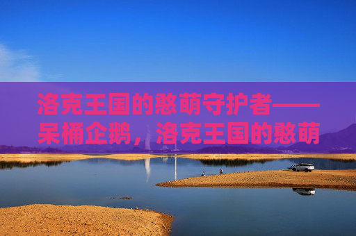 洛克王国的憨萌守护者——呆桶企鹅,洛克王国的憨萌守护者——呆桶企鹅