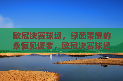 欧冠决赛球场，绿茵荣耀的永恒见证者，欧冠决赛球场，绿茵荣耀的永恒见证
