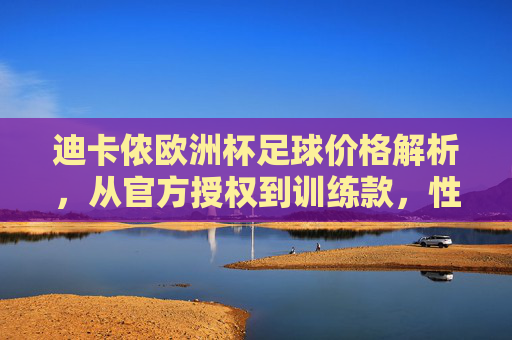 迪卡侬欧洲杯足球价格解析,从官方授权到训练款,性价比之选看这里,迪卡侬欧洲杯足球价格解析,官方授权到训练款性价比之选
