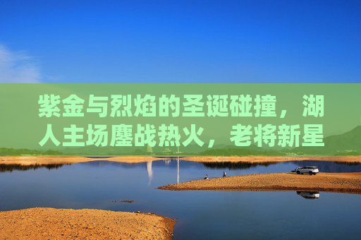 紫金与烈焰的圣诞碰撞,湖人主场鏖战热火,老将新星的节日狂欢