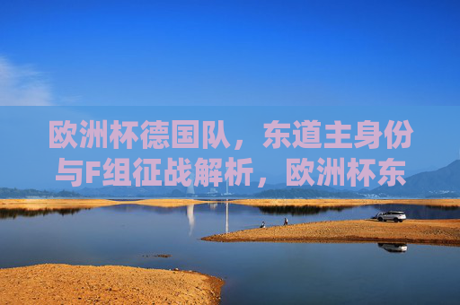 欧洲杯德国队,东道主身份与F组征战解析,欧洲杯东道主德国队F组征战解析