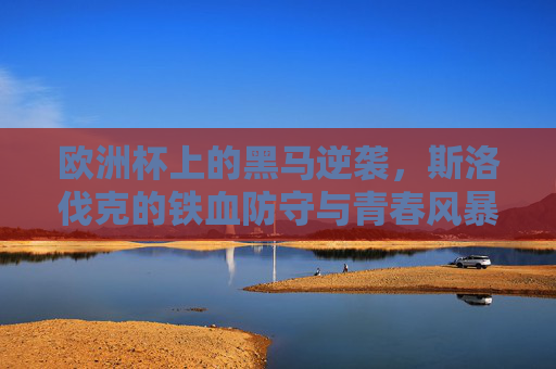 欧洲杯上的黑马逆袭，斯洛伐克的铁血防守与青春风暴，欧洲杯黑马斯洛伐克，铁血防守铸就青春逆袭