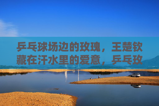 乒乓球场边的玫瑰,王楚钦藏在汗水里的爱意,乒乓玫瑰,汗藏爱意