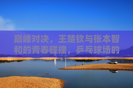 巅峰对决,王楚钦与张本智和的青春碰撞,乒乓球场的新时代序曲,巅峰对决,王楚钦与张本智和的青春碰撞,乒乓新时代序曲