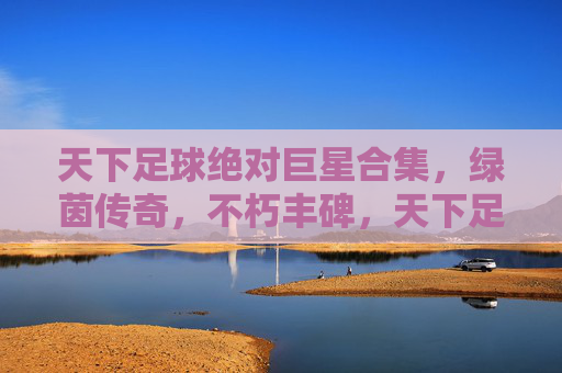 天下足球绝对巨星合集，绿茵传奇，不朽丰碑，天下足球绝对巨星，绿茵不朽丰碑