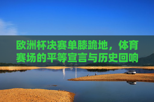 欧洲杯决赛单膝跪地,体育赛场的平等宣言与历史回响,欧洲杯决赛单膝跪地,体育平等宣言与历史回响
