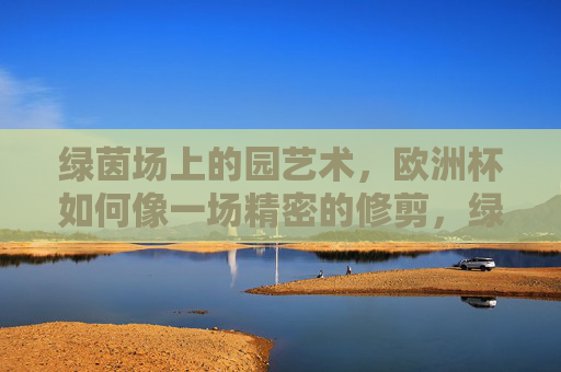 绿茵场上的园艺术,欧洲杯如何像一场精密的修剪,绿茵园艺,欧洲杯的精密修剪