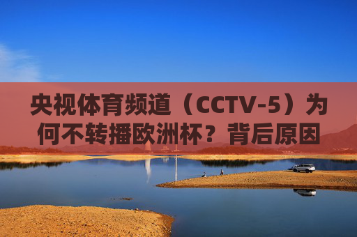 央视体育频道(CCTV-5)为何不转播欧洲杯?背后原因解析,央视体育频道不转播欧洲杯背后原因解析