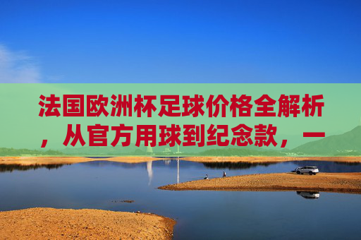 法国欧洲杯足球价格全解析，从官方用球到纪念款，一文看懂花费，法国欧洲杯足球价格全解析，从官方用球到纪念款