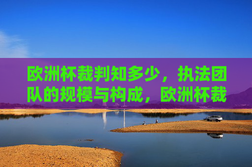 欧洲杯裁判知多少,执法团队的规模与构成,欧洲杯裁判执法团队的规模与构成