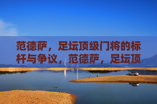 范德萨,足坛顶级门将的标杆与争议,范德萨,足坛顶级门将的标杆与争议