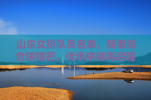 山东女排队员名单，新老结合铸锋芒，传承拼搏再启程，山东女排新老结合铸锋芒 传承拼搏再启程