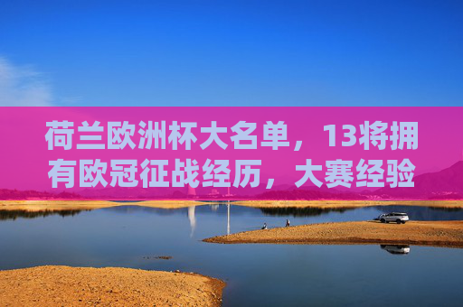 荷兰欧洲杯大名单，13将拥有欧冠征战经历，大赛经验成球队底气，荷兰欧洲杯13将欧冠征途 大赛经验成球队底气