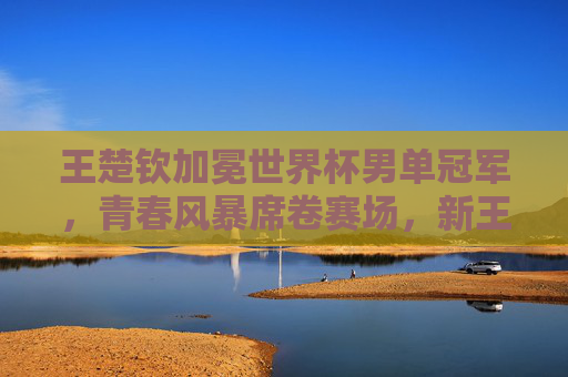 王楚钦加冕世界杯男单冠军，青春风暴席卷赛场，新王铸就传奇，王楚钦青春风暴加冕世界杯新王