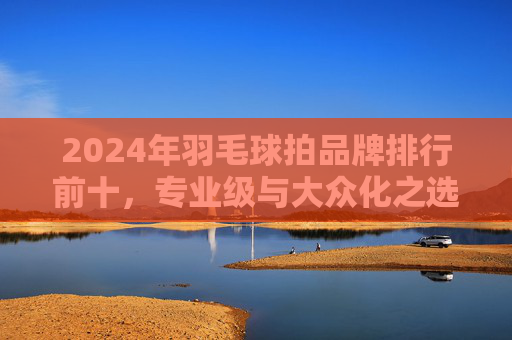 2024年羽毛球拍品牌排行前十,专业级与大众化之选,助你提升赛场表现,2024年羽毛球拍品牌排行前十,专业级与大众化之选,助你提升赛场表现