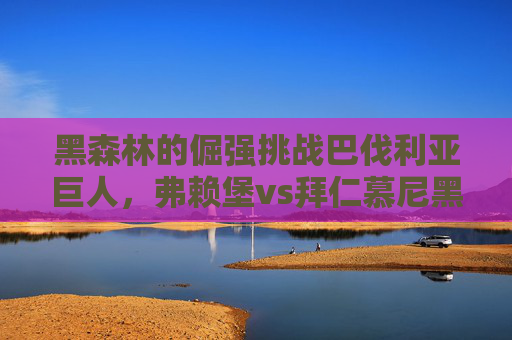 黑森林的倔强挑战巴伐利亚巨人，弗赖堡vs拜仁慕尼黑，一场强弱对话的德甲缩影，黑森林倔强挑战巴伐利亚巨人，德甲强弱对话缩影