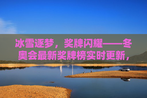 冰雪逐梦,奖牌闪耀——冬奥会最新奖牌榜实时更新,冰雪逐梦,奖牌榜实时闪耀