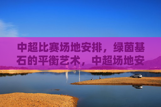 中超比赛场地安排,绿茵基石的平衡艺术,中超场地安排,绿茵基石的平衡艺术