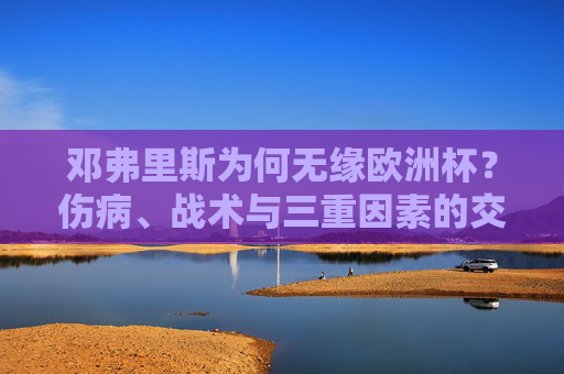 邓弗里斯为何无缘欧洲杯？伤病、战术与三重因素的交织，邓弗里斯无缘欧洲杯，伤病、战术与多重因素交织