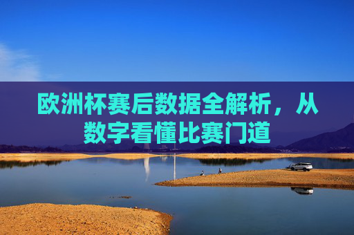 欧洲杯赛后数据全解析,从数字看懂比赛门道