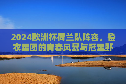 2024欧洲杯荷兰队阵容,橙衣军团的青春风暴与冠军野心,2024欧洲杯荷兰队阵容,青春风暴下的冠军野心