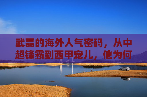 武磊的海外人气密码，从中超锋霸到西甲宠儿，他为何让外国球迷也疯狂？武磊的海外人气密码，从中超锋霸到西甲宠儿，他为何让外国球迷疯狂？