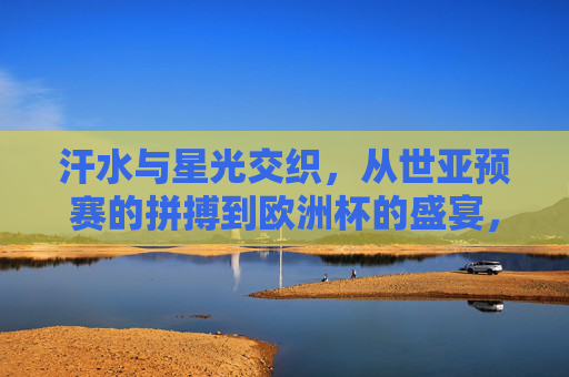 汗水与星光交织，从世亚预赛的拼搏到欧洲杯的盛宴，汗水与星光交织，世亚预赛拼搏到欧洲杯盛宴