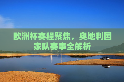 欧洲杯赛程聚焦,奥地利国家队赛事全解析