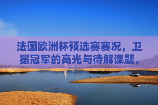 法国欧洲杯预选赛赛况,卫冕冠军的高光与待解课题,法国欧洲杯预选赛,卫冕冠军的高光与待解课题