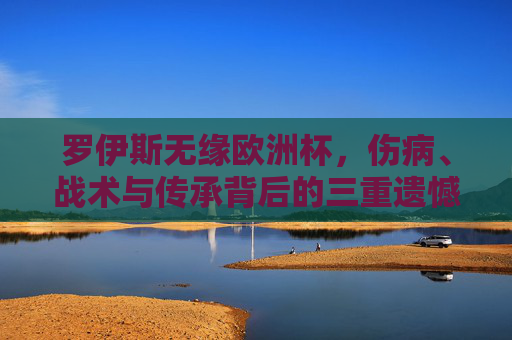 罗伊斯无缘欧洲杯,伤病、战术与传承背后的三重遗憾,罗伊斯无缘欧洲杯,伤病、战术与传承的三重遗憾