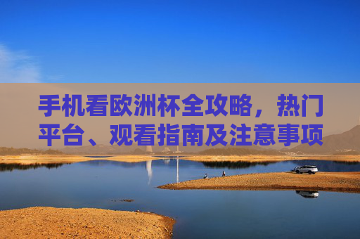 手机看欧洲杯全攻略，热门平台、观看指南及注意事项，手机看欧洲杯全攻略，热门平台、观看指南与注意事项