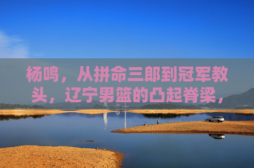 杨鸣，从拼命三郎到冠军教头，辽宁男篮的凸起脊梁，从拼命三郎到冠军教头，杨鸣，辽宁男篮的凸起脊梁